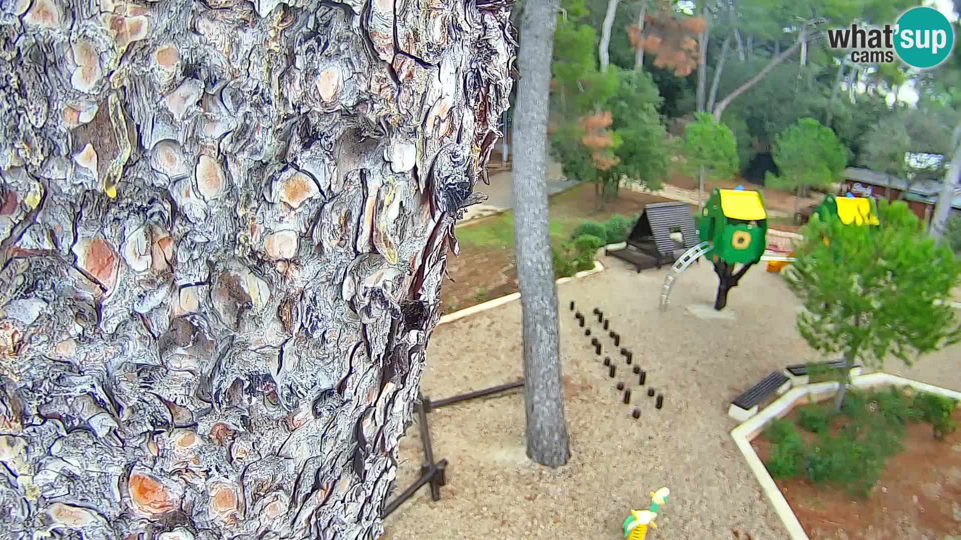 Camera en vivo Borik playa Rovinj – Istria