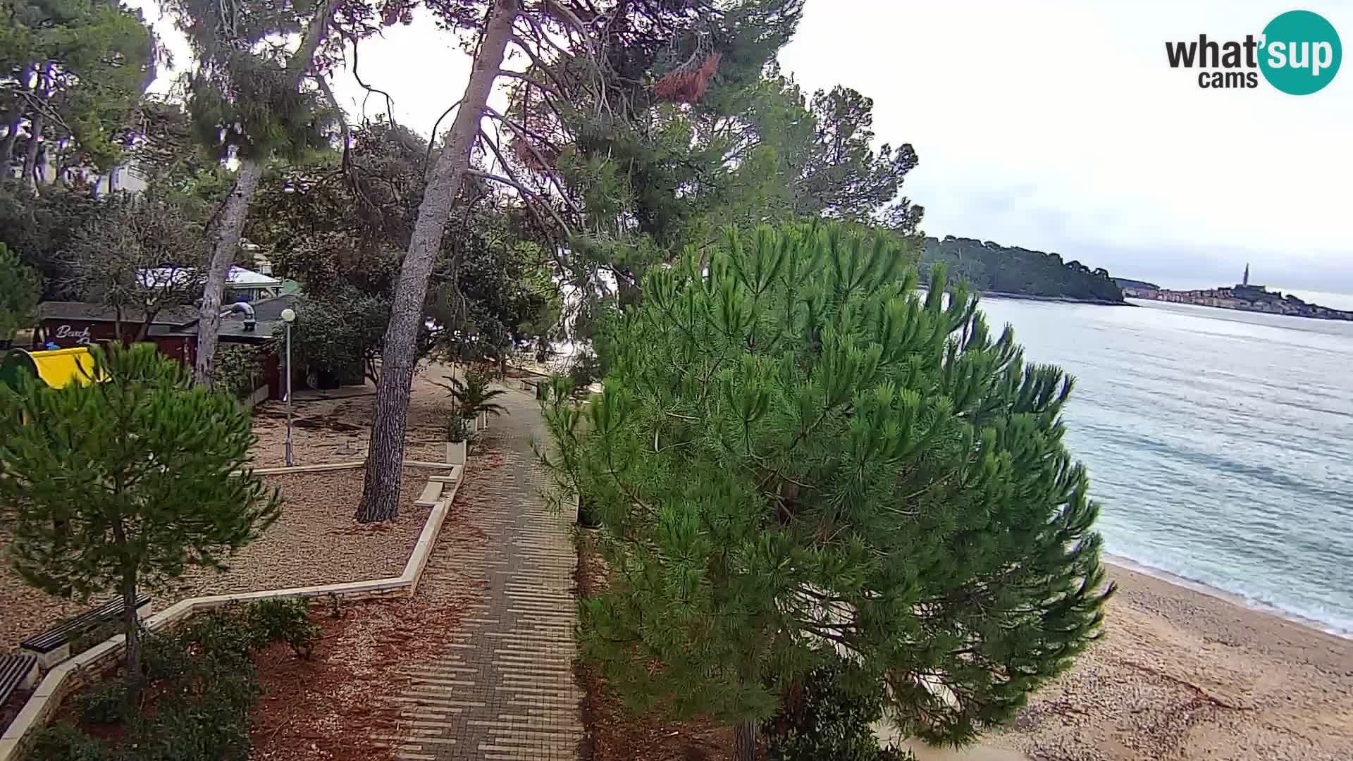 Spletna kamera plaža Borik Rovinj