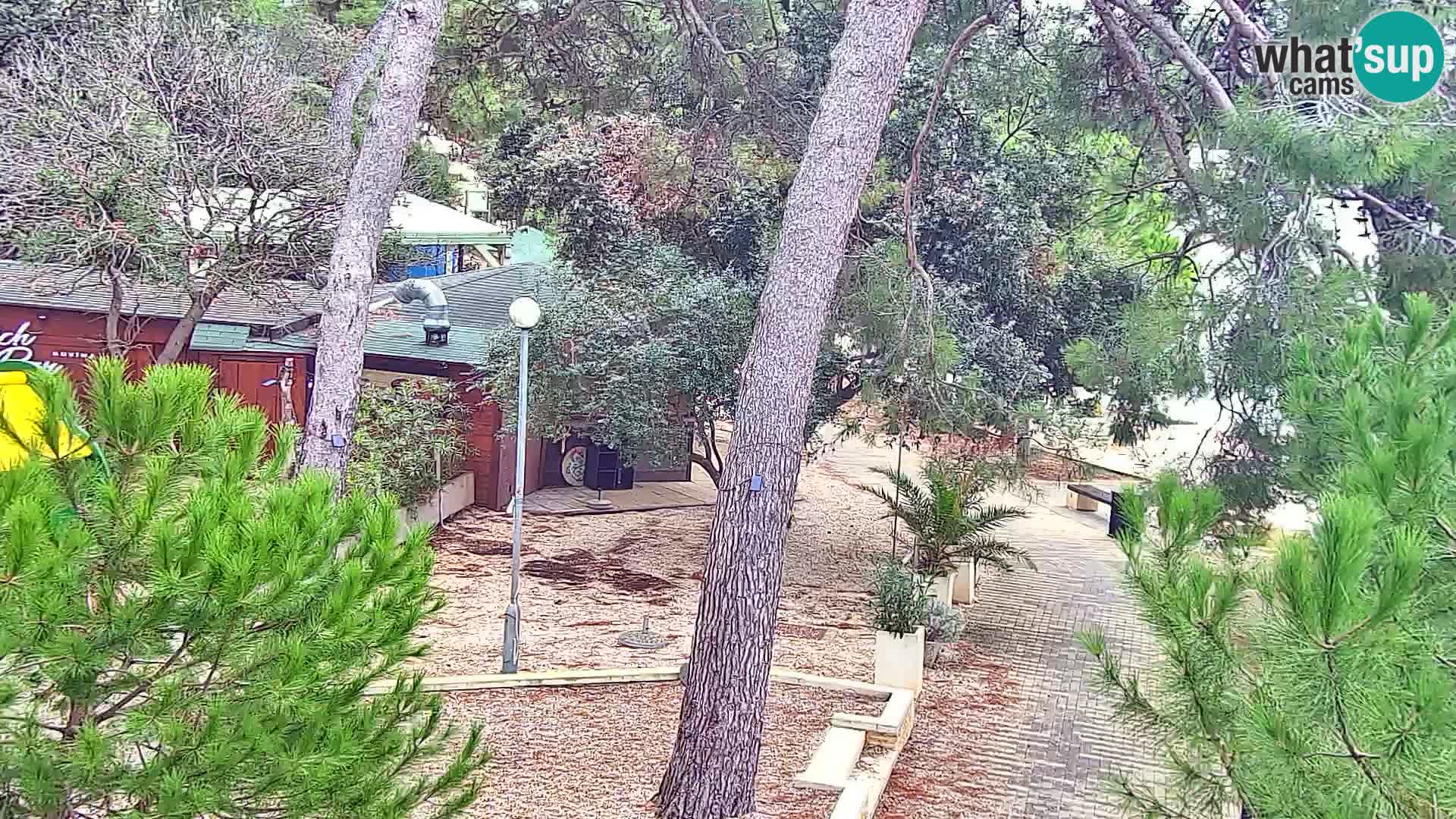 Camera en vivo Borik playa Rovinj – Istria