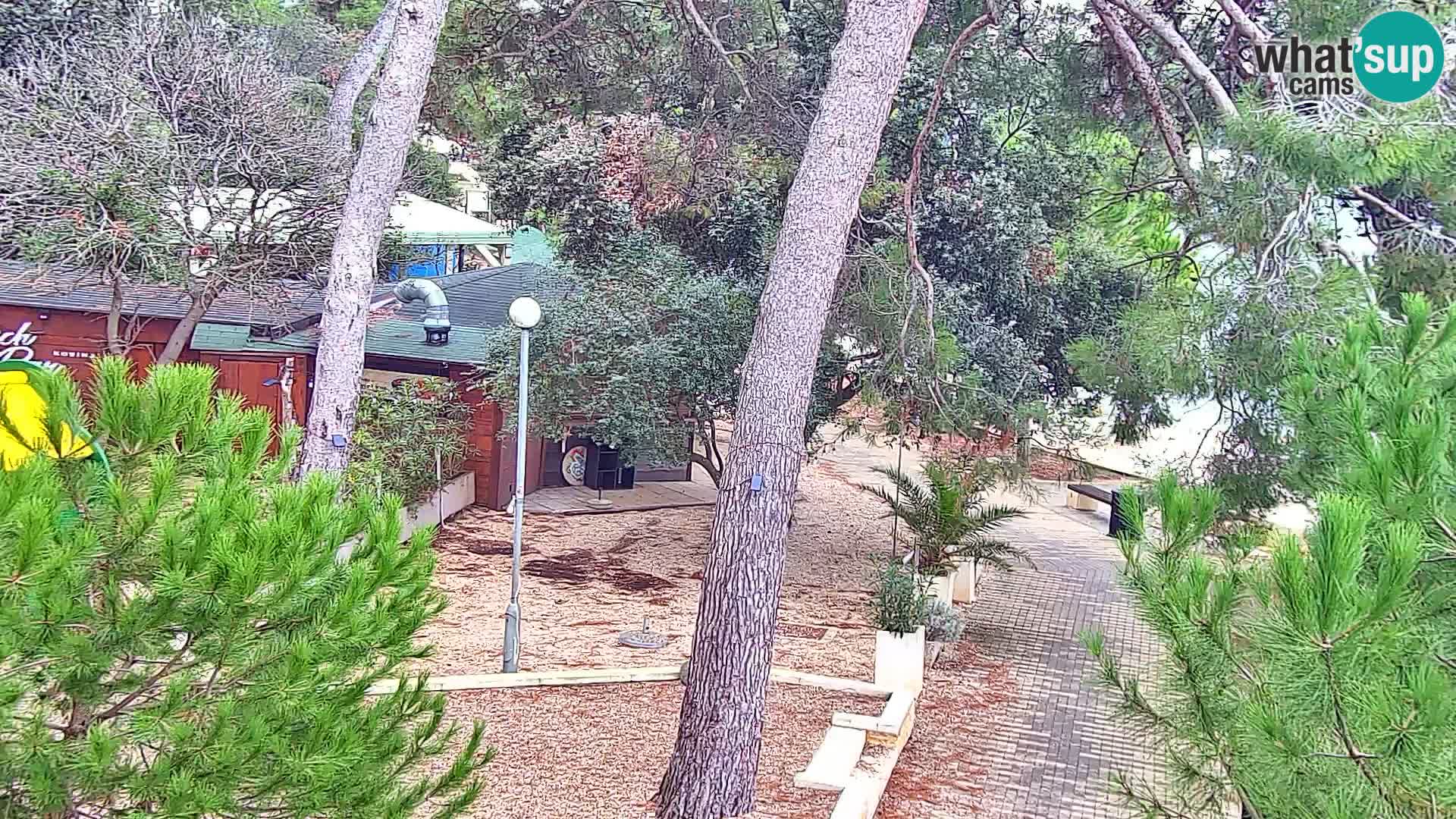 Camera en vivo Borik playa Rovinj – Istria