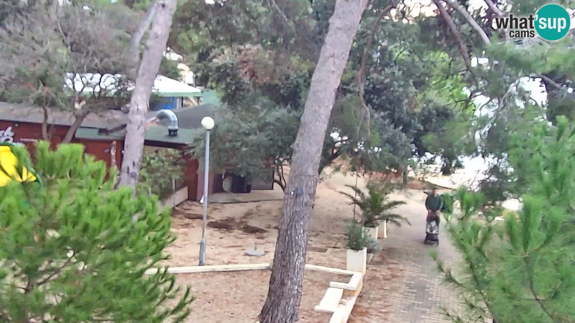 Webcam Borik Strand Rovinj – Istrien