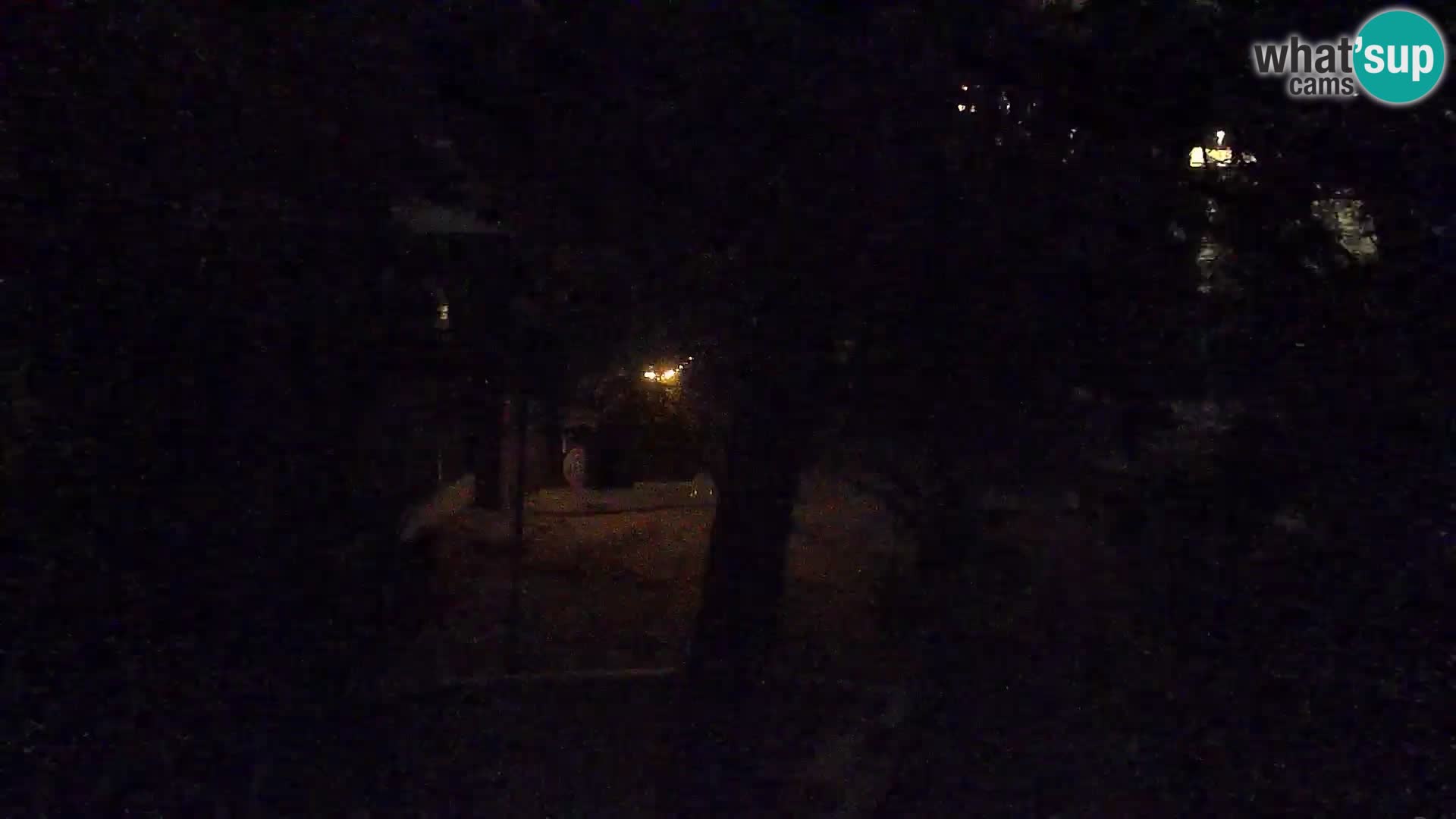 Webcam Spiaggia Borik a Rovigno – Istria