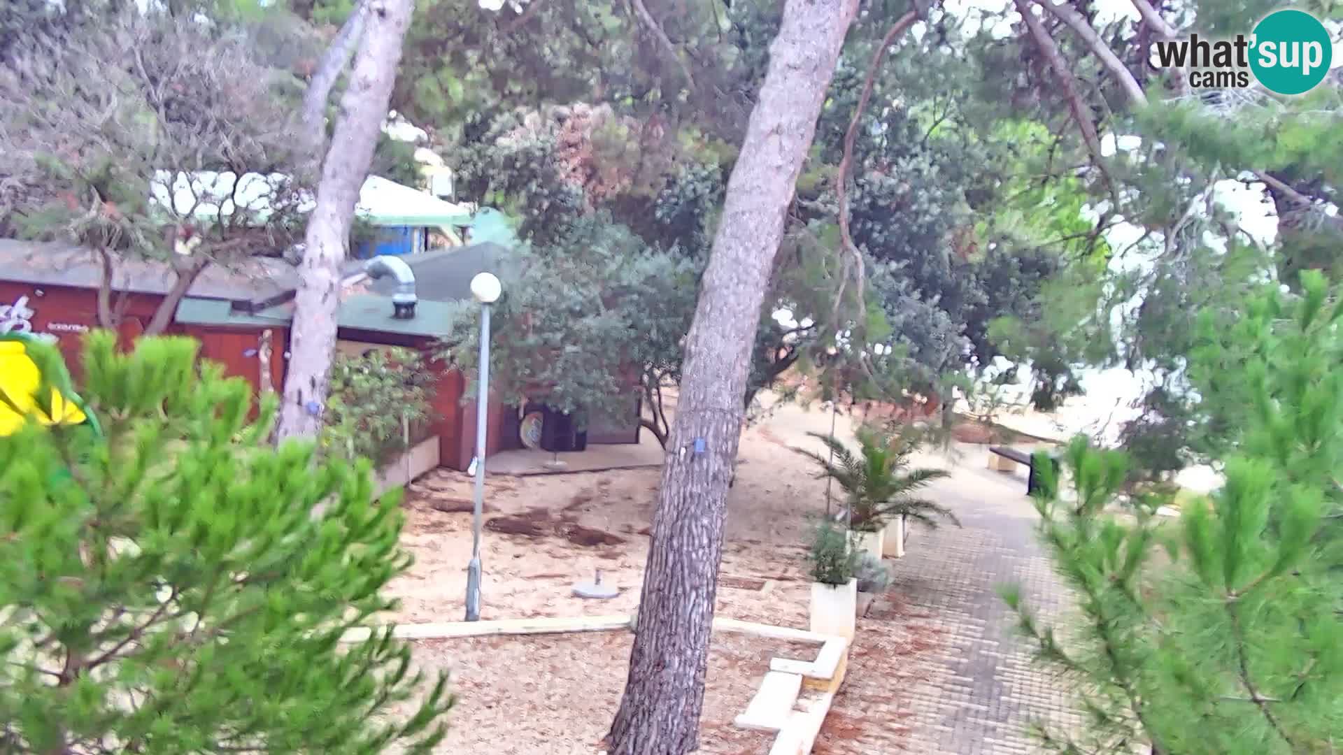 Livecam Borik plage Rovinj – Istrie