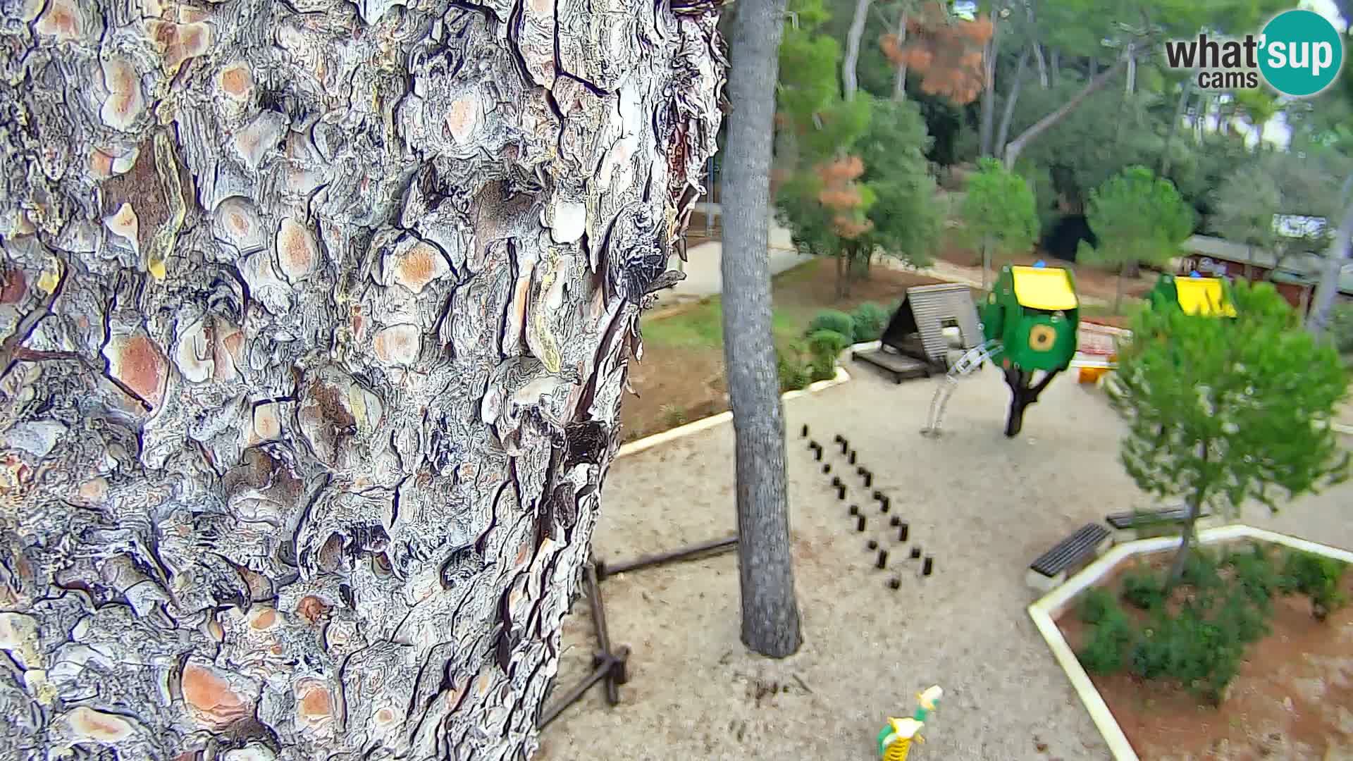 Webcam Borik beach Rovinj – Istria