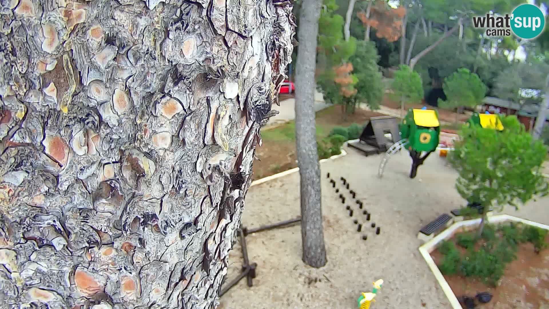 Livecam Borik plage Rovinj – Istrie