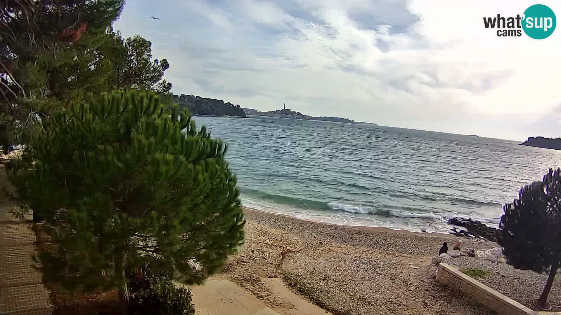 Webcam Spiaggia Borik a Rovigno – Istria