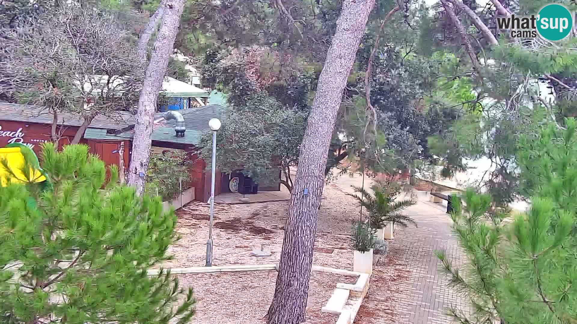 Spletna kamera plaža Borik Rovinj