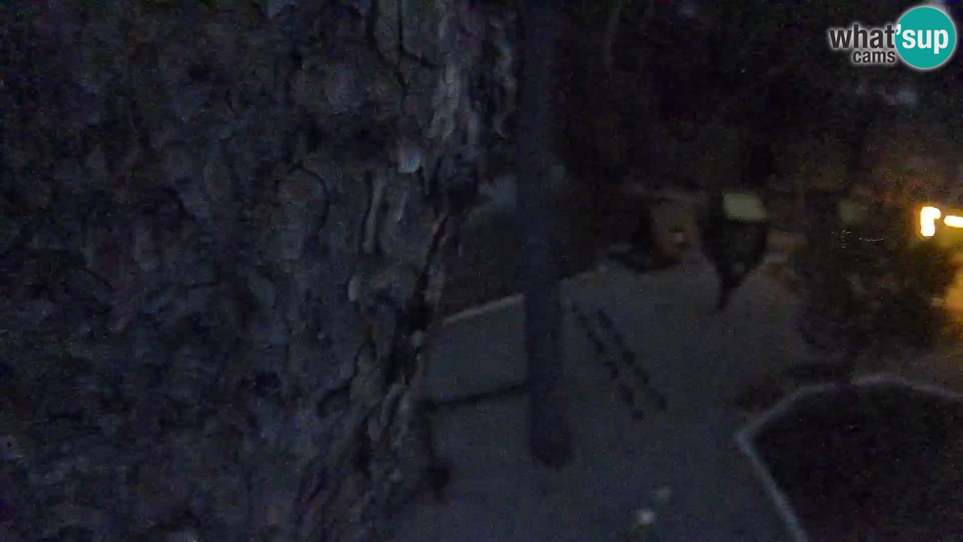 Spletna kamera plaža Borik Rovinj