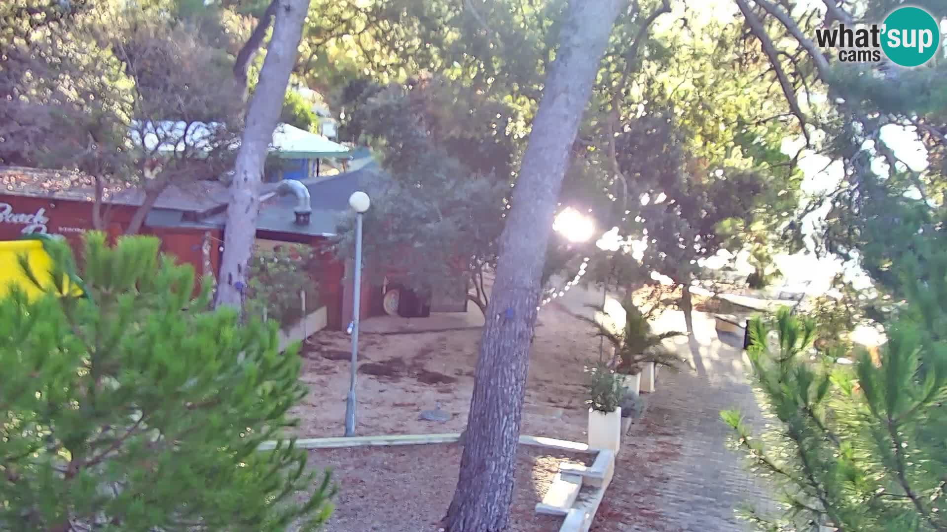 Webcam Spiaggia Borik a Rovigno – Istria