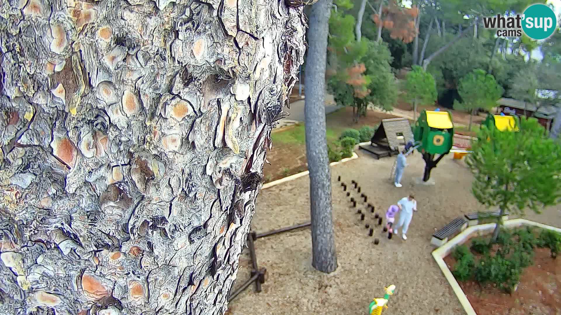 Webcam Borik Strand Rovinj – Istrien