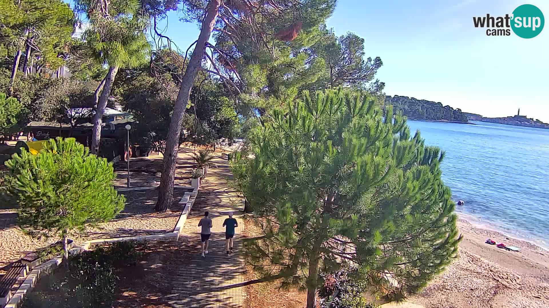 Spletna kamera plaža Borik Rovinj