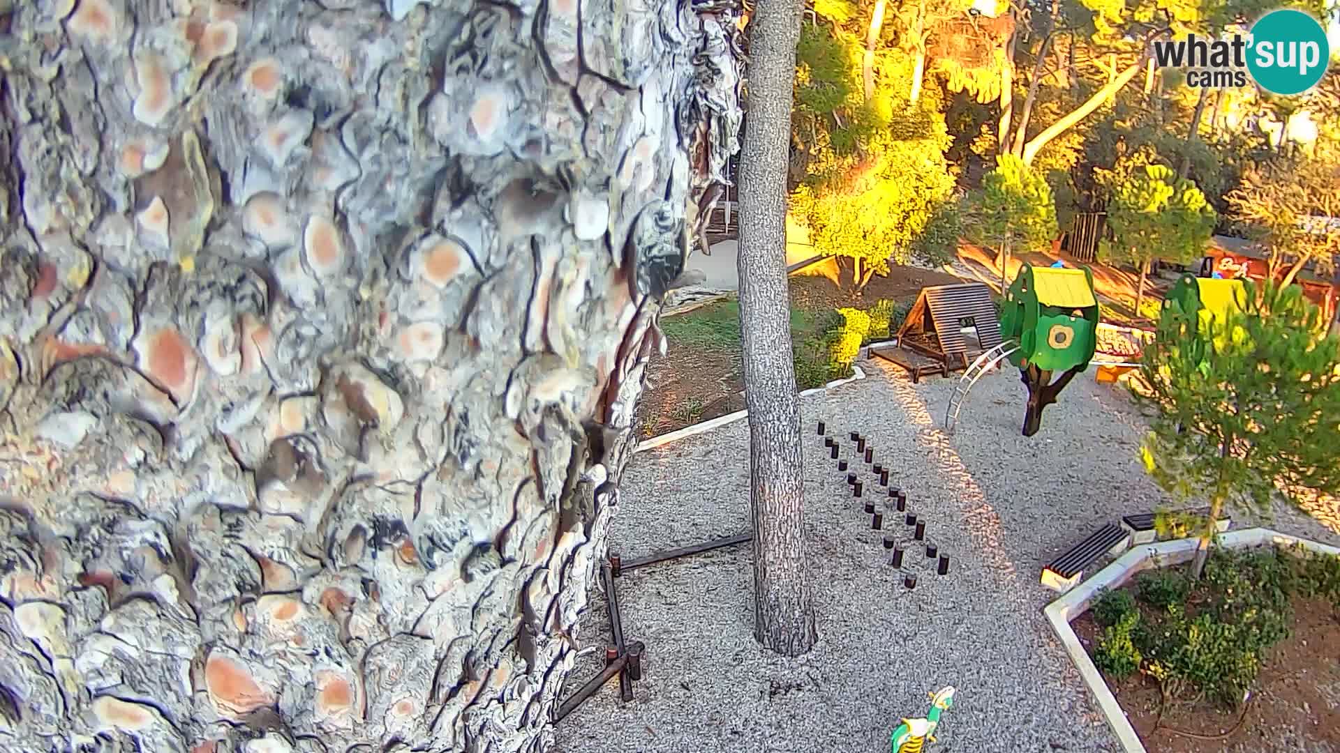 Webcam Borik beach Rovinj – Istria