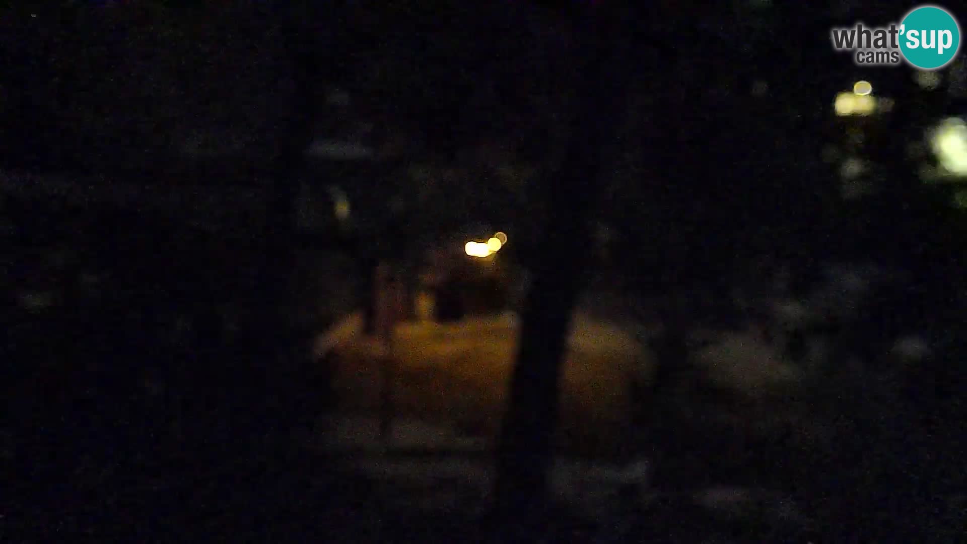 Camera en vivo Borik playa Rovinj – Istria