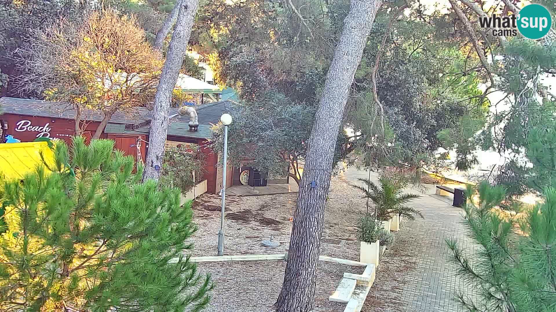 Webcam Borik Strand Rovinj – Istrien