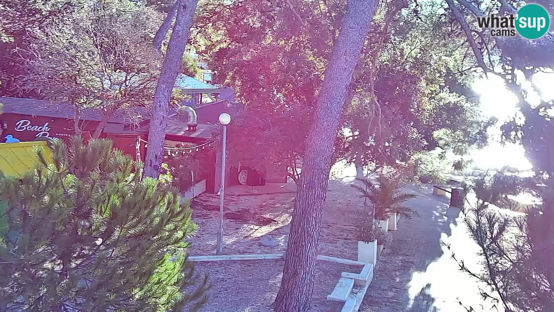 Spletna kamera plaža Borik Rovinj