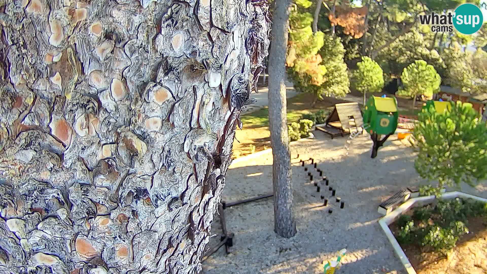 Webcam Spiaggia Borik a Rovigno – Istria