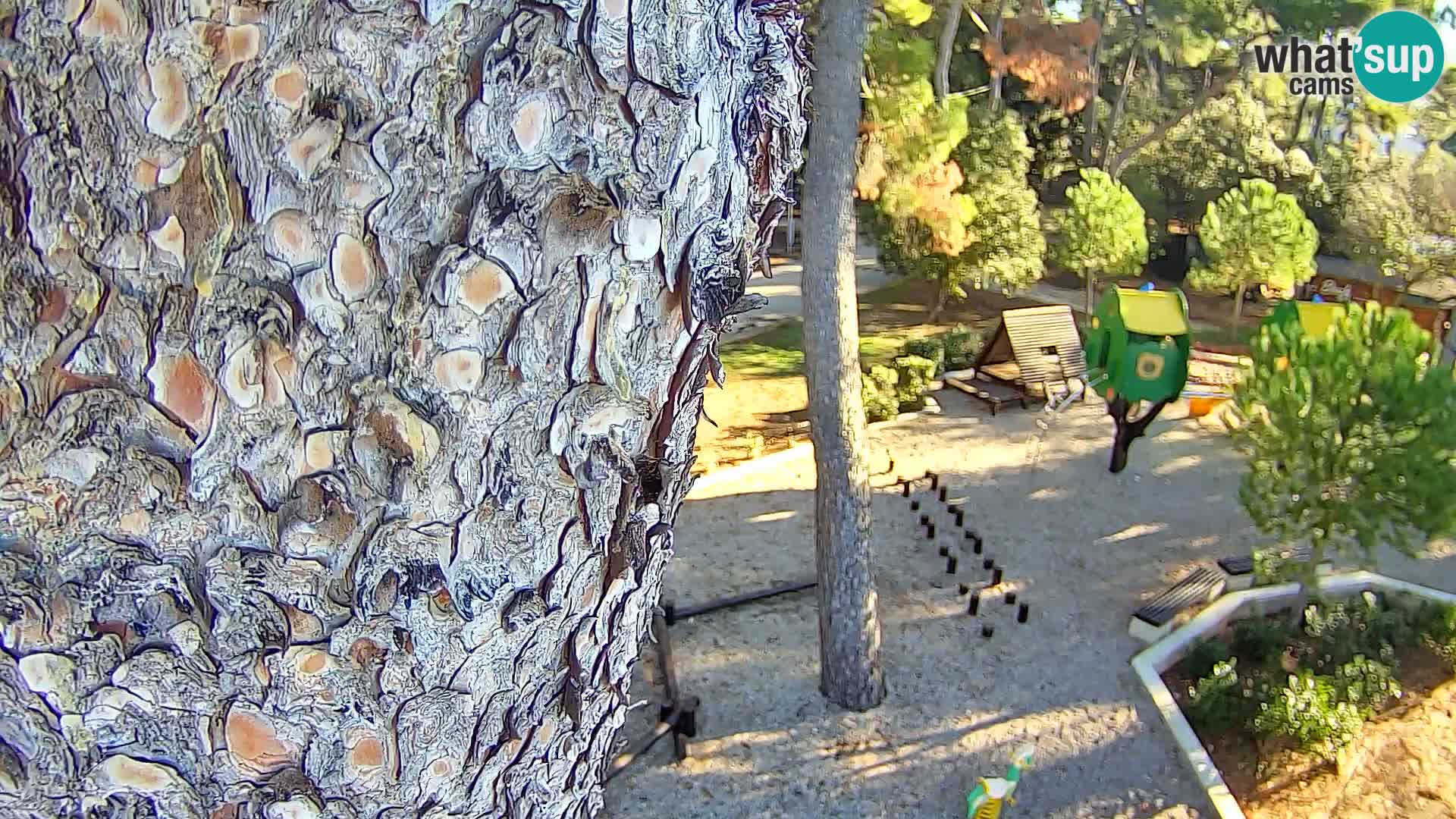 Camera en vivo Borik playa Rovinj – Istria