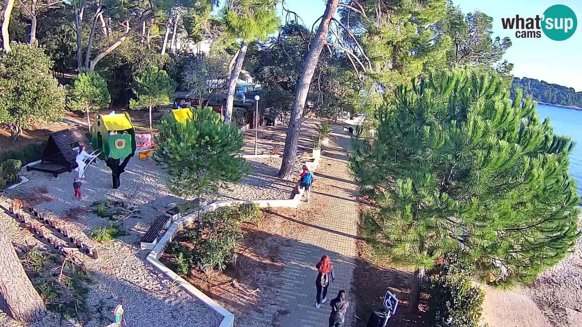 Spletna kamera plaža Borik Rovinj