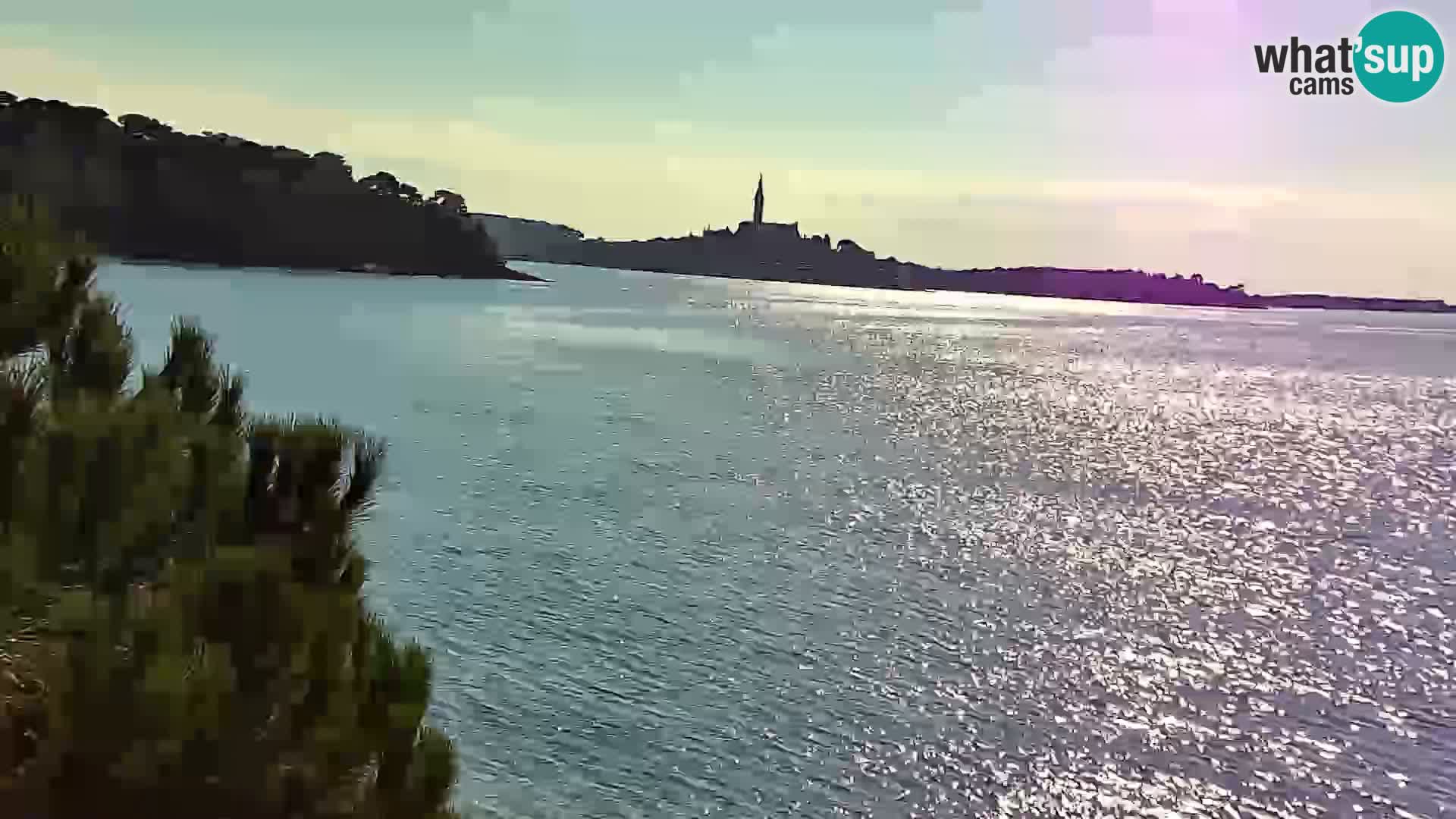 Spletna kamera plaža Borik Rovinj