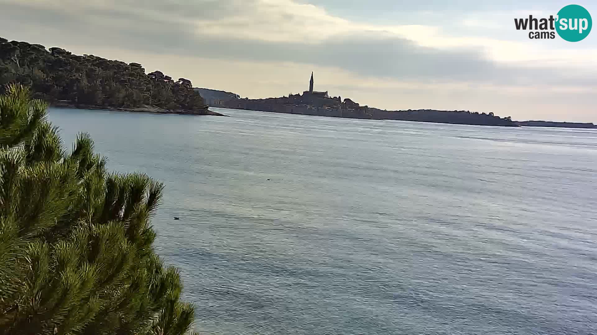 Webcam Borik beach Rovinj – Istria
