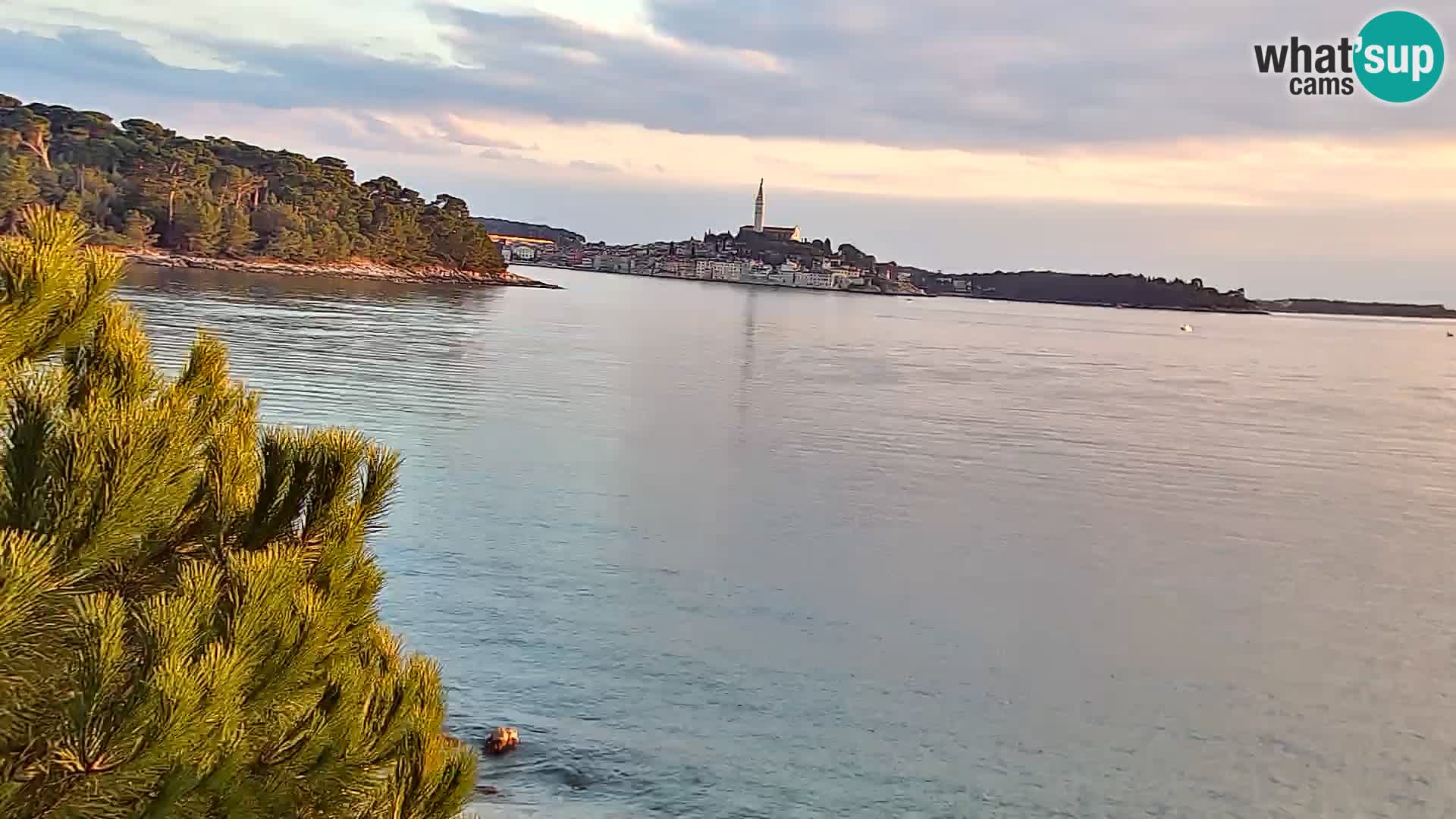 Livecam Borik plage Rovinj – Istrie