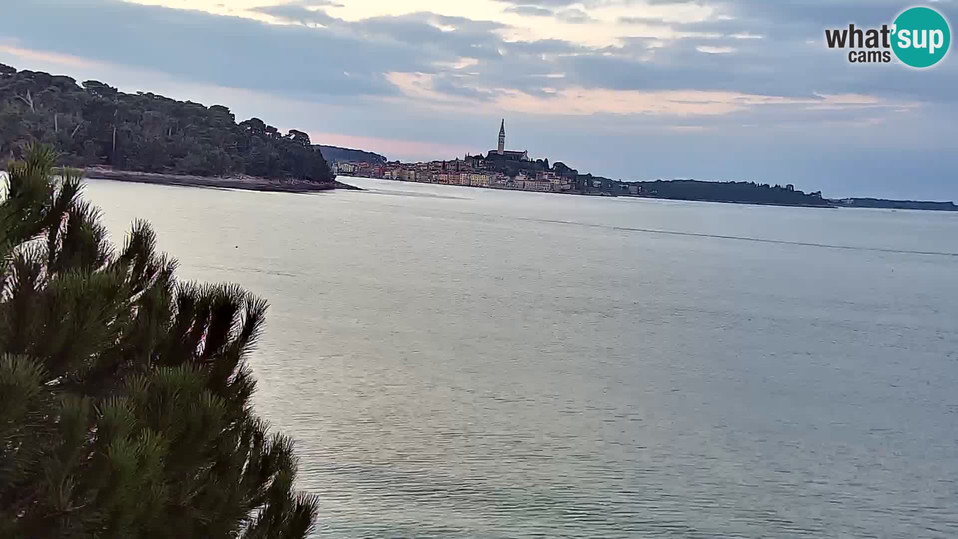 Camera en vivo Borik playa Rovinj – Istria