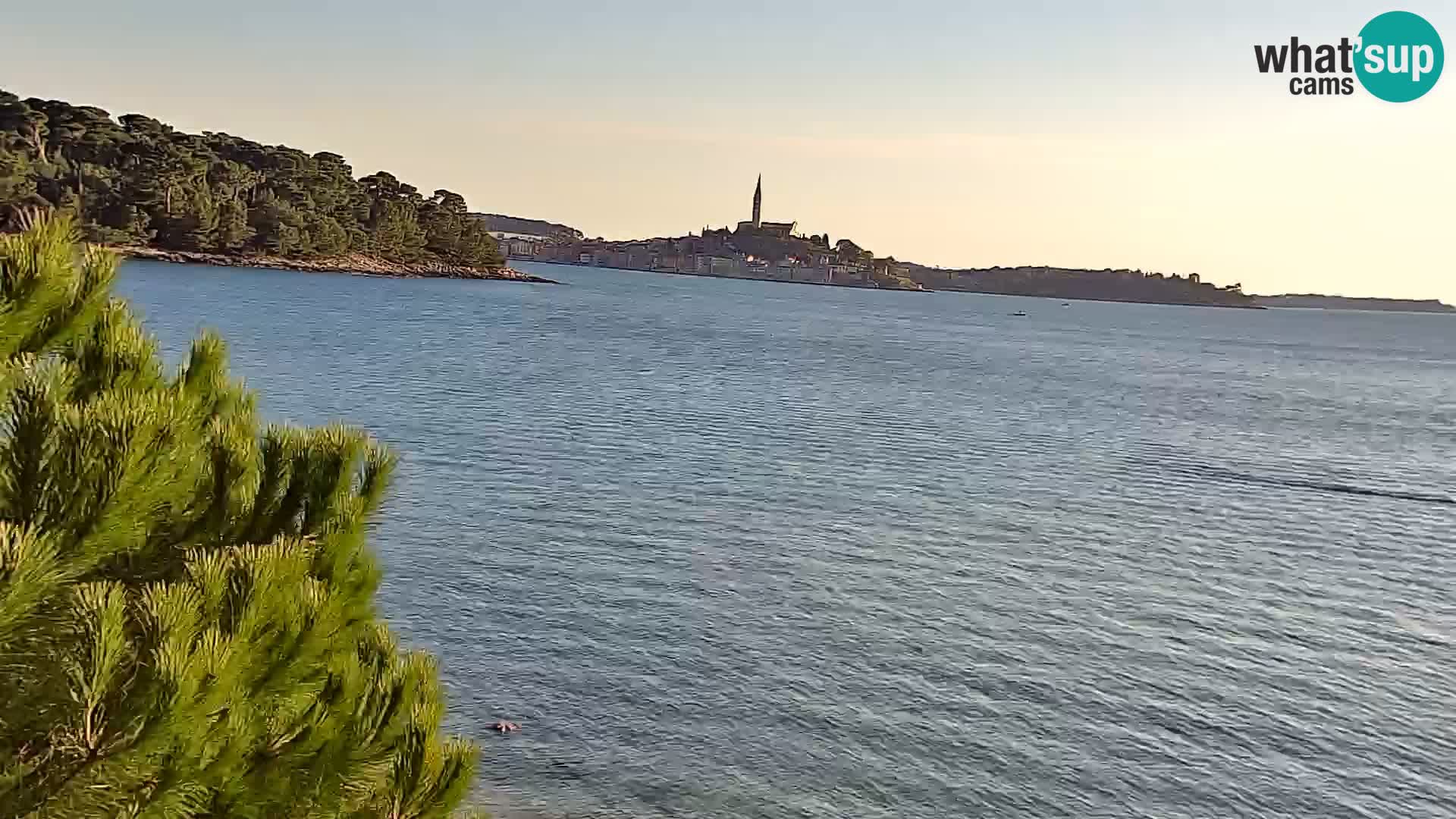 Livecam Borik plage Rovinj – Istrie