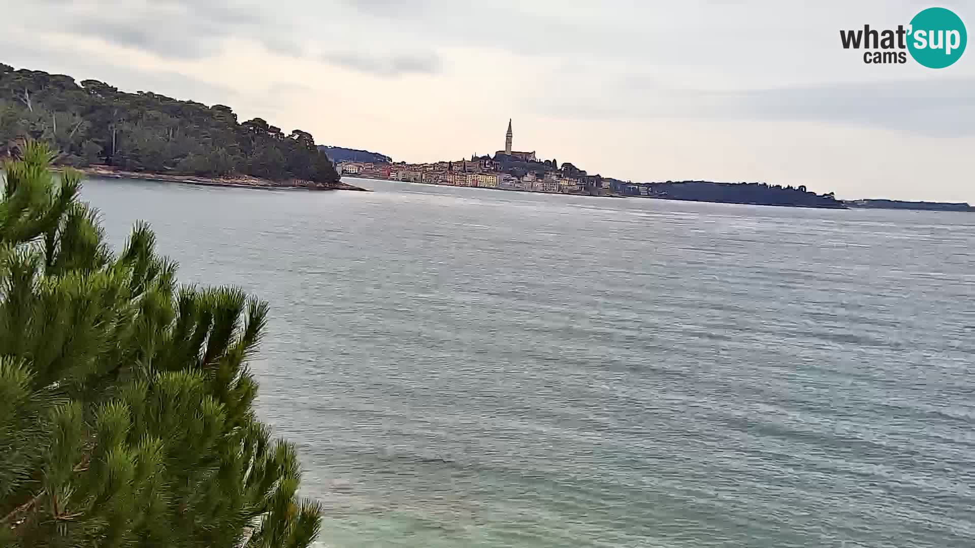 Camera en vivo Borik playa Rovinj – Istria