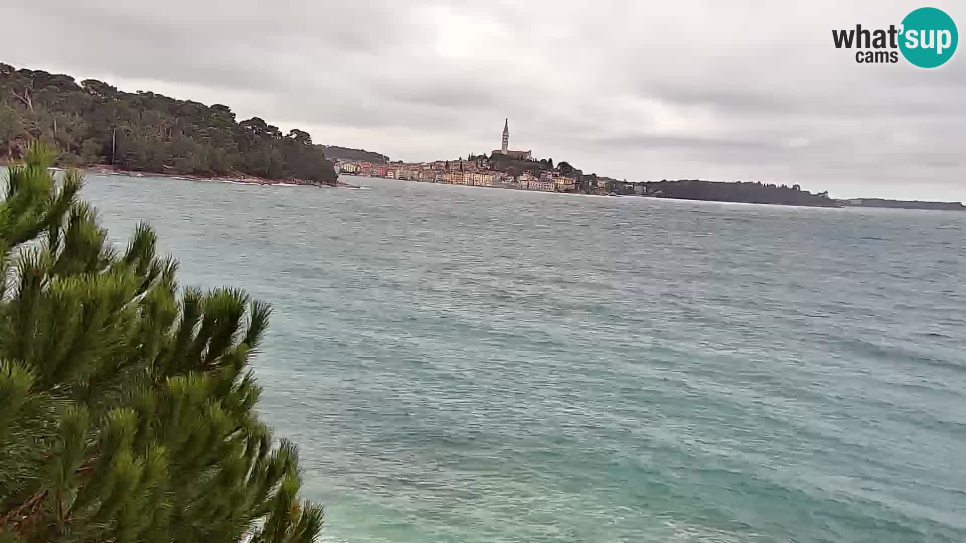 Webcam Spiaggia Borik a Rovigno – Istria