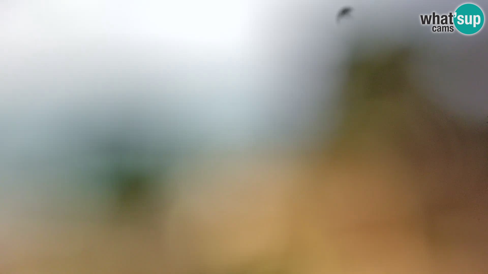 Spletna kamera plaža Borik Rovinj