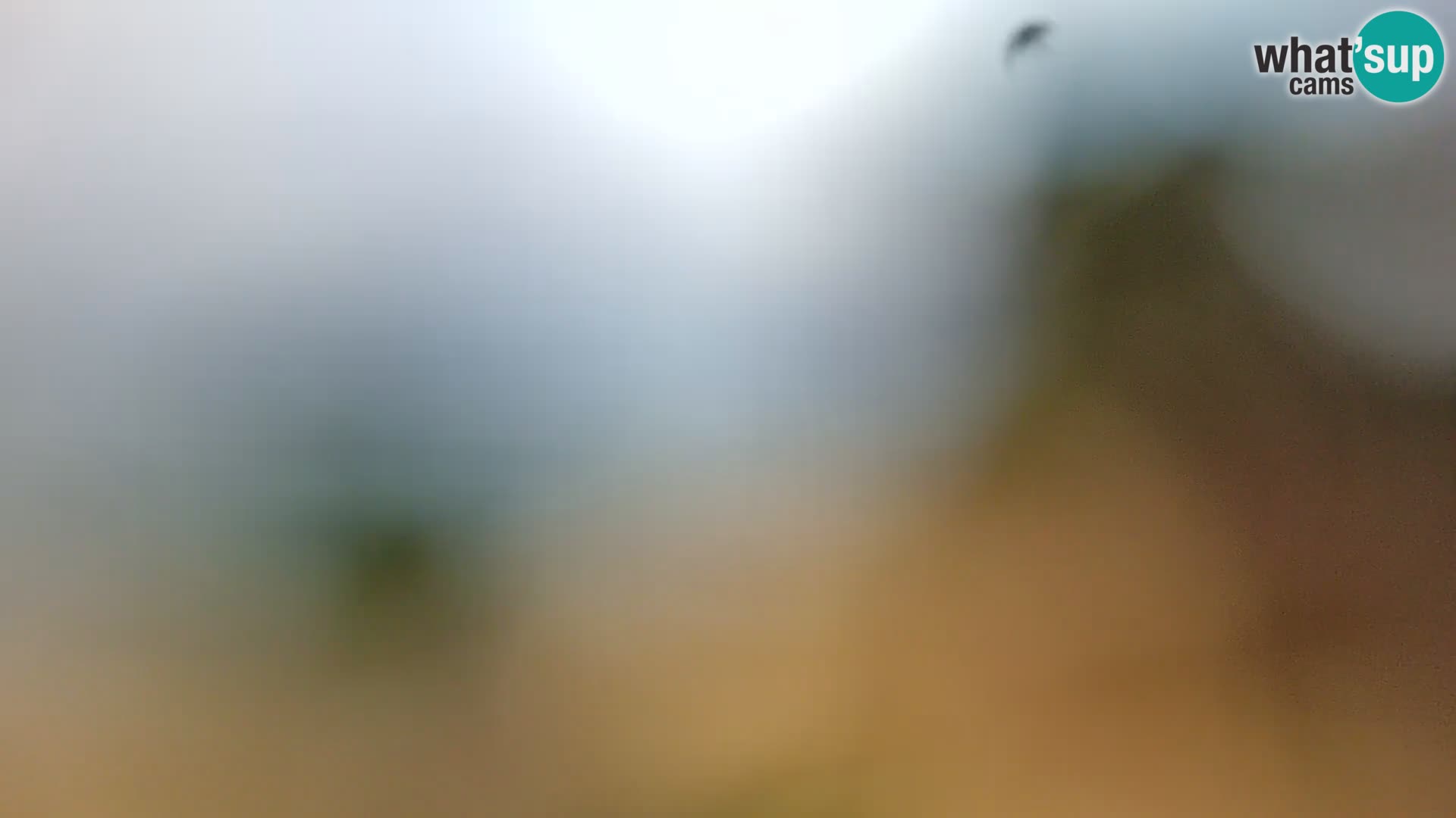 Spletna kamera plaža Borik Rovinj