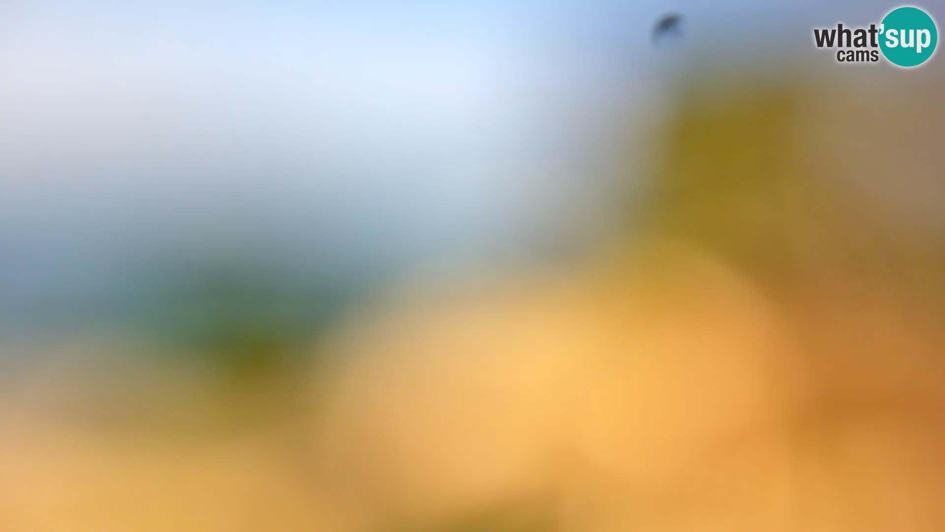 Camera en vivo Borik playa Rovinj – Istria