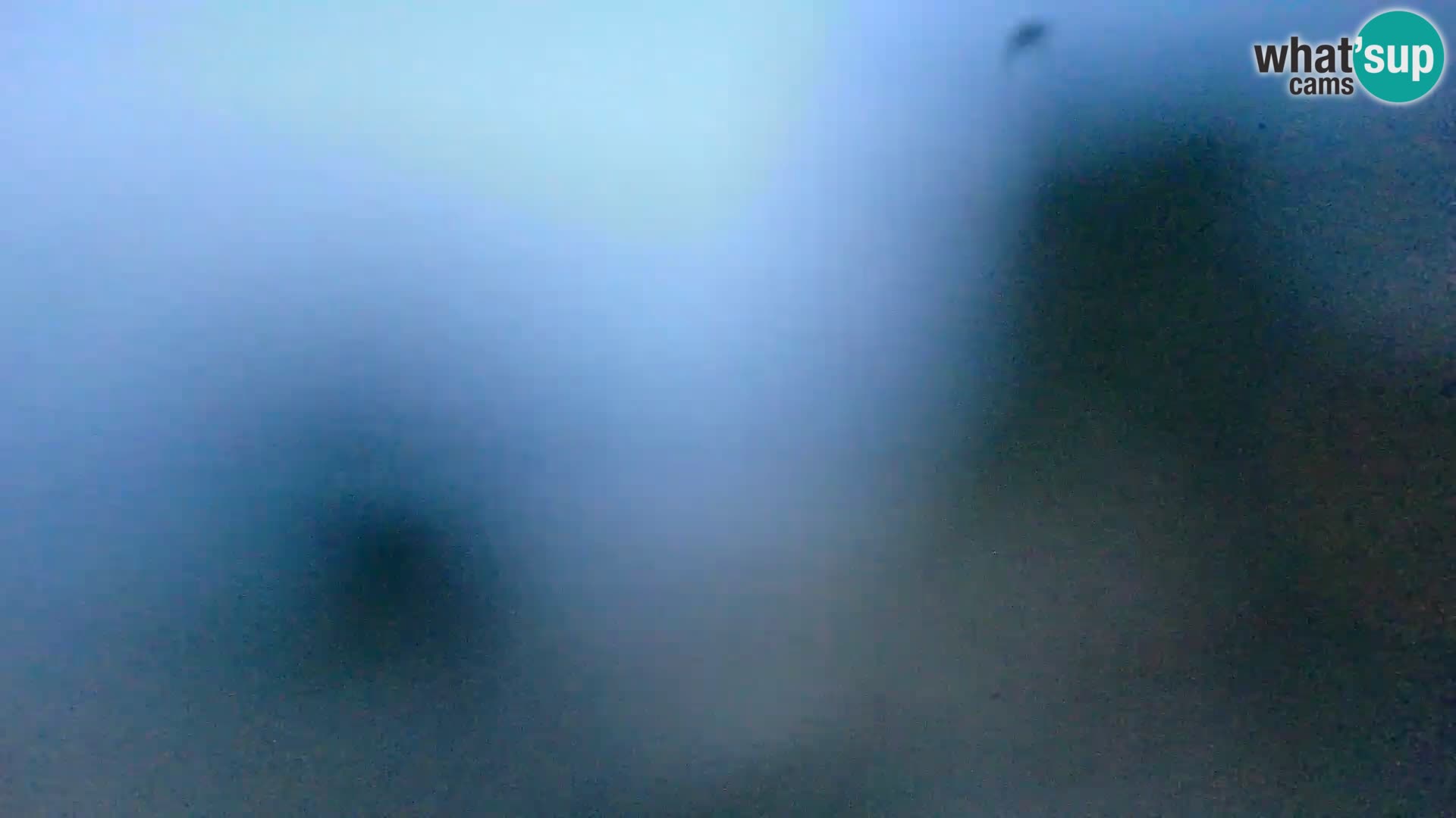 Webcam Spiaggia Borik a Rovigno – Istria