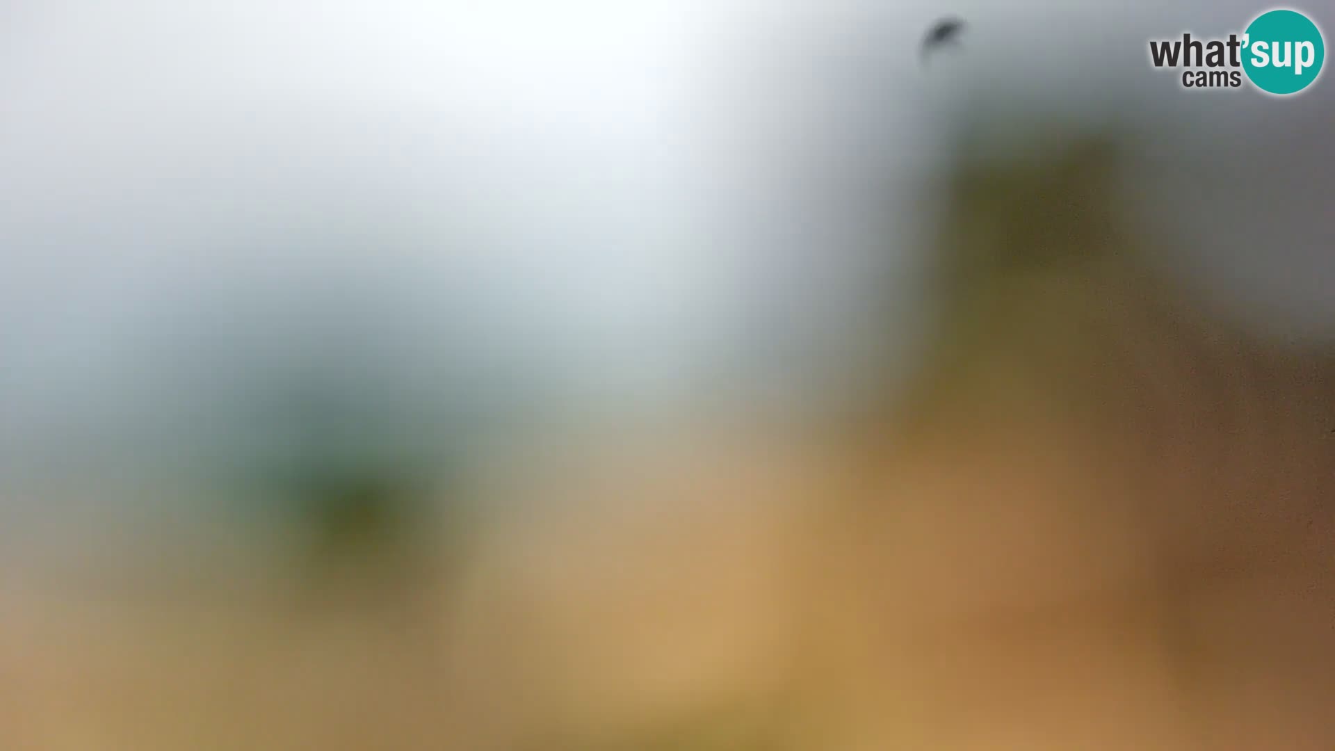 Webcam Borik beach Rovinj – Istria