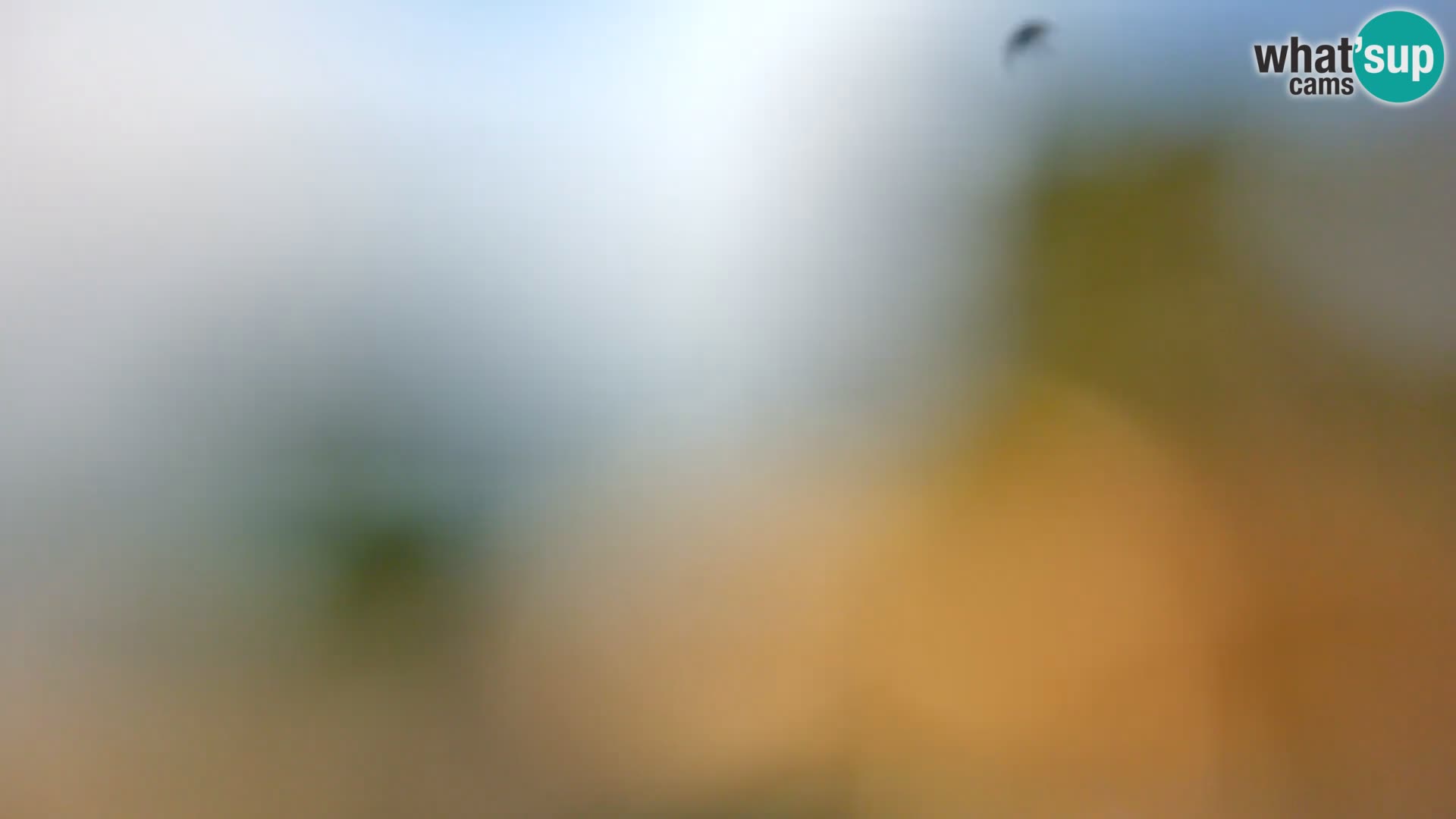 Web kamera Borik plaža Rovinj – Istra