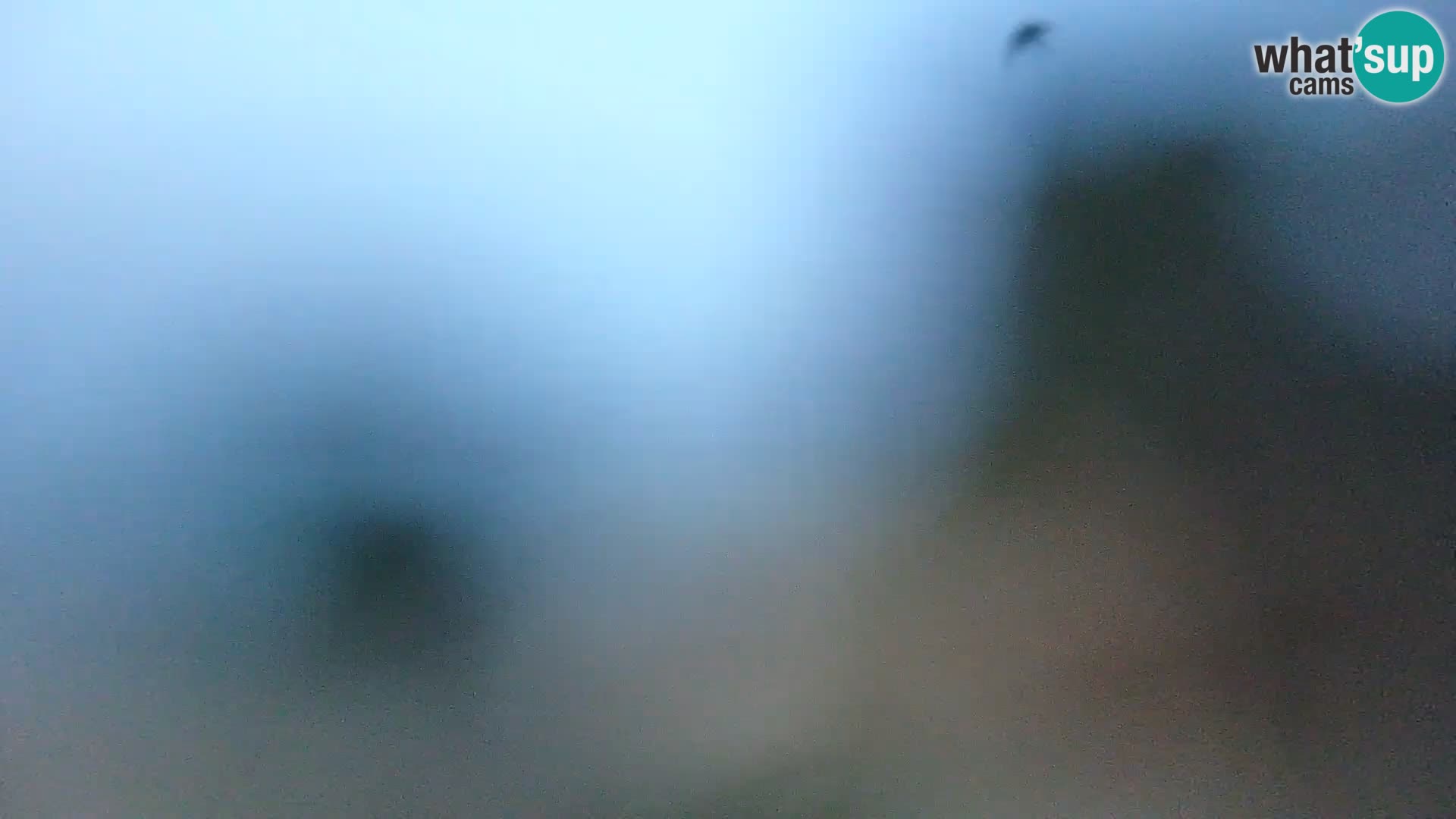 Spletna kamera plaža Borik Rovinj