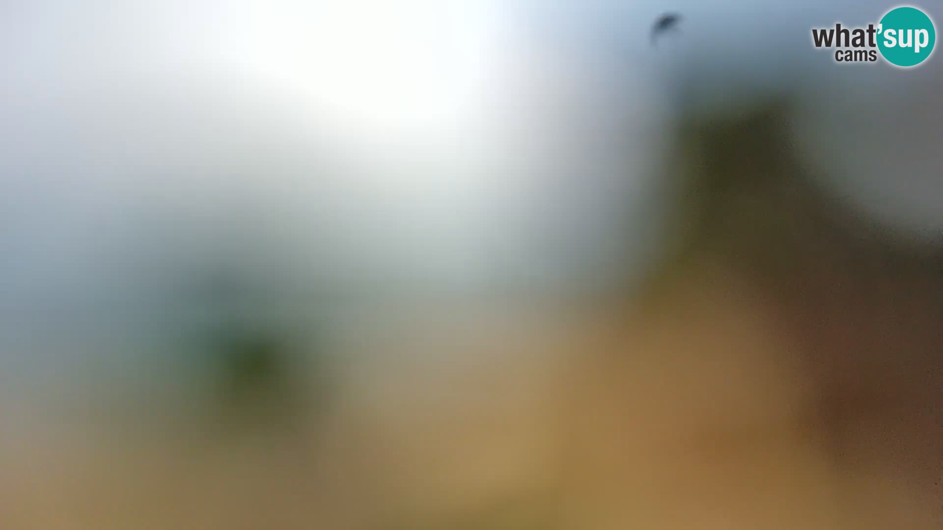 Webcam Spiaggia Borik a Rovigno – Istria