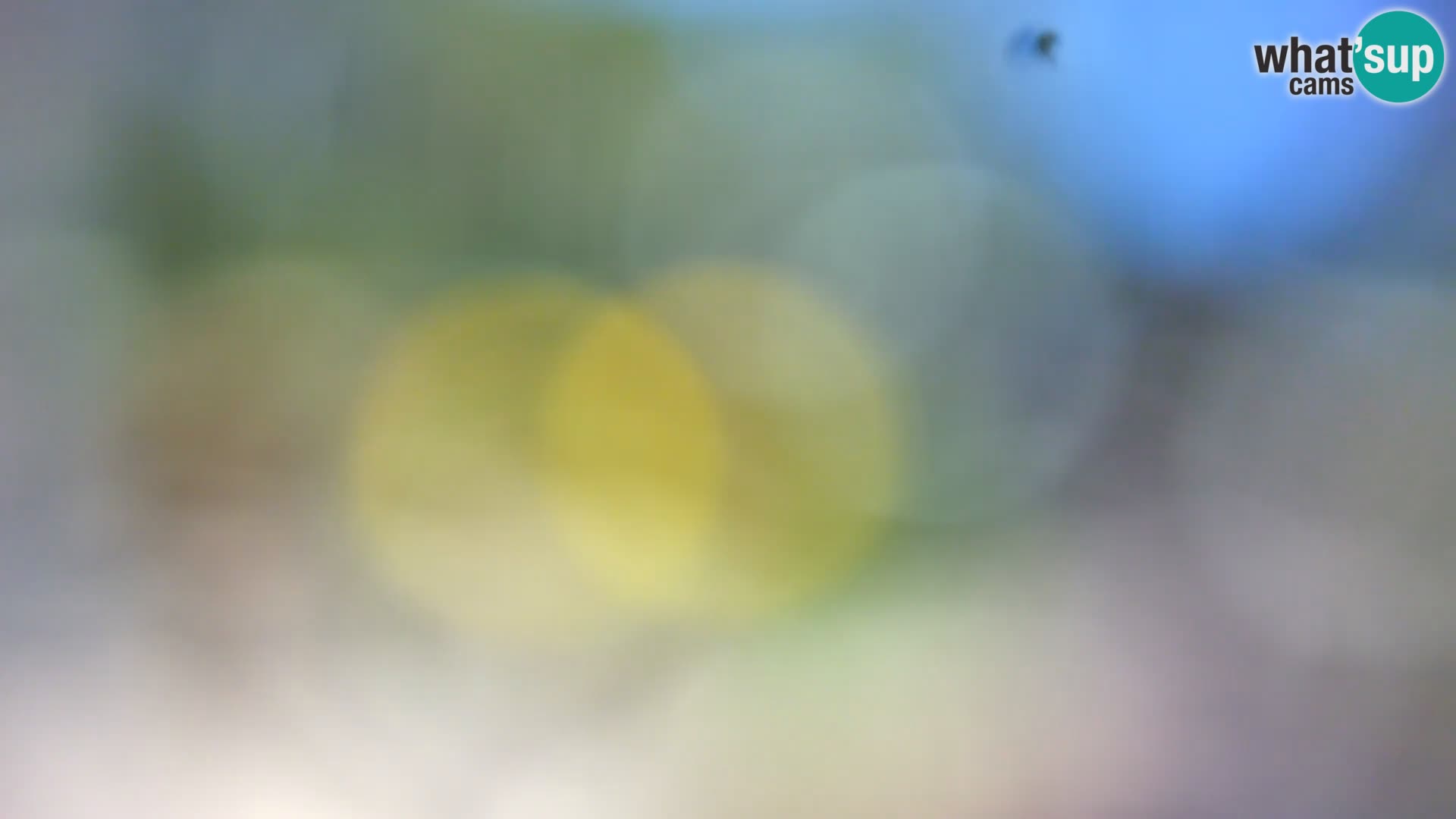 Webcam Borik beach Rovinj – Istria