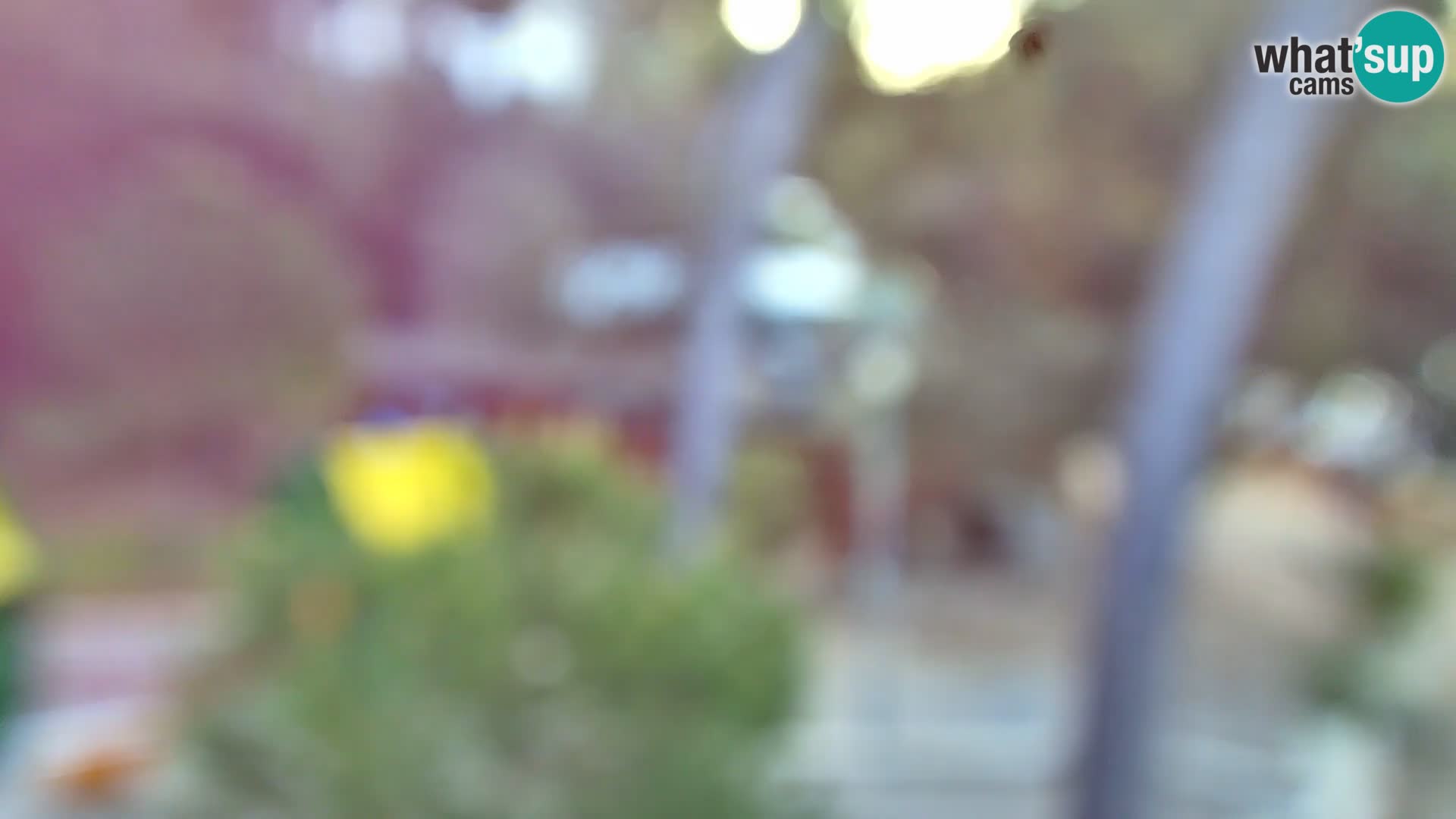 Livecam Borik plage Rovinj – Istrie