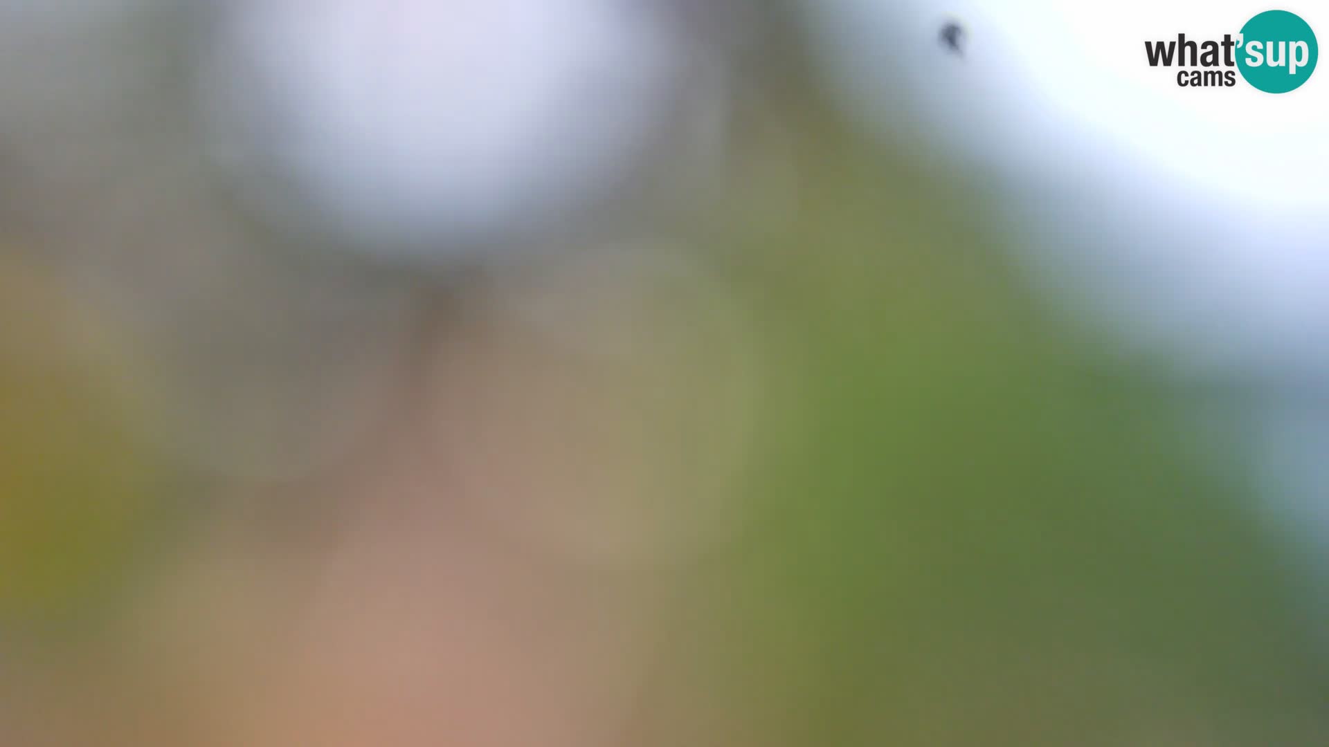 Livecam Borik plage Rovinj – Istrie