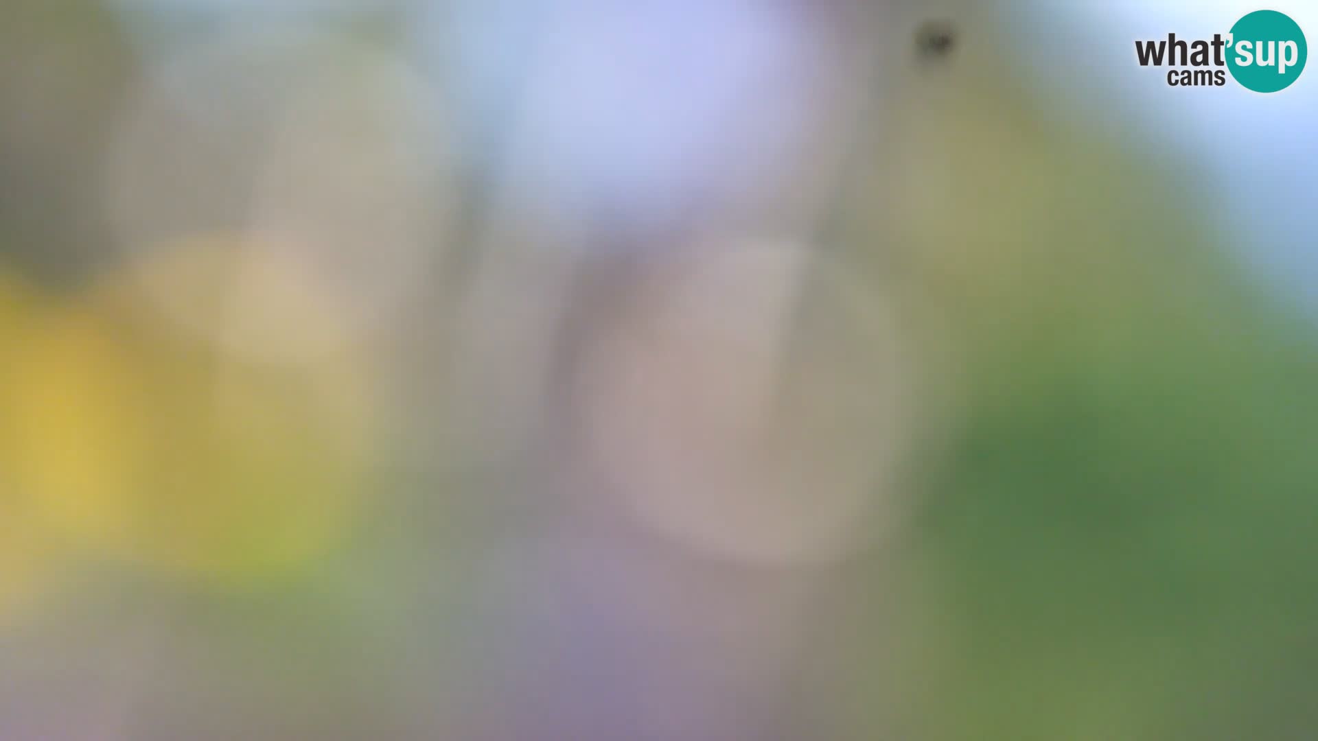 Camera en vivo Borik playa Rovinj – Istria