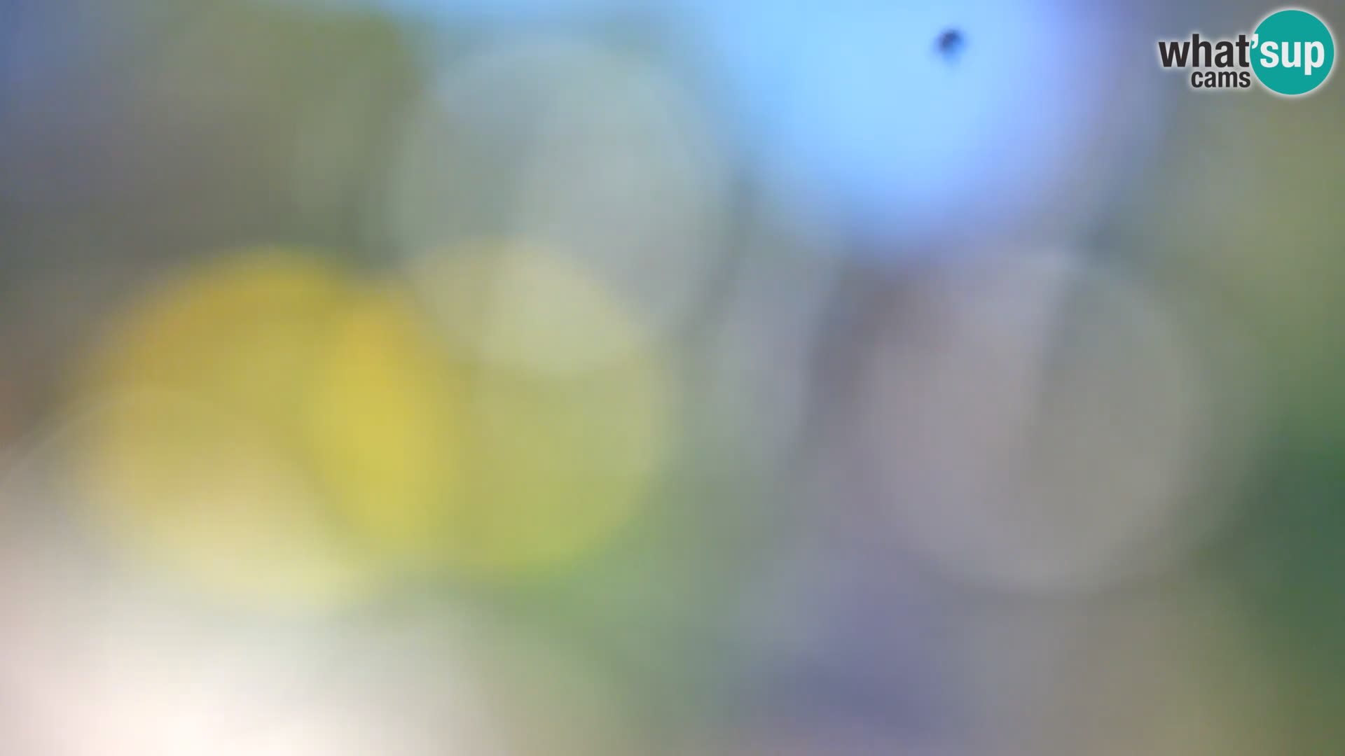 Spletna kamera plaža Borik Rovinj