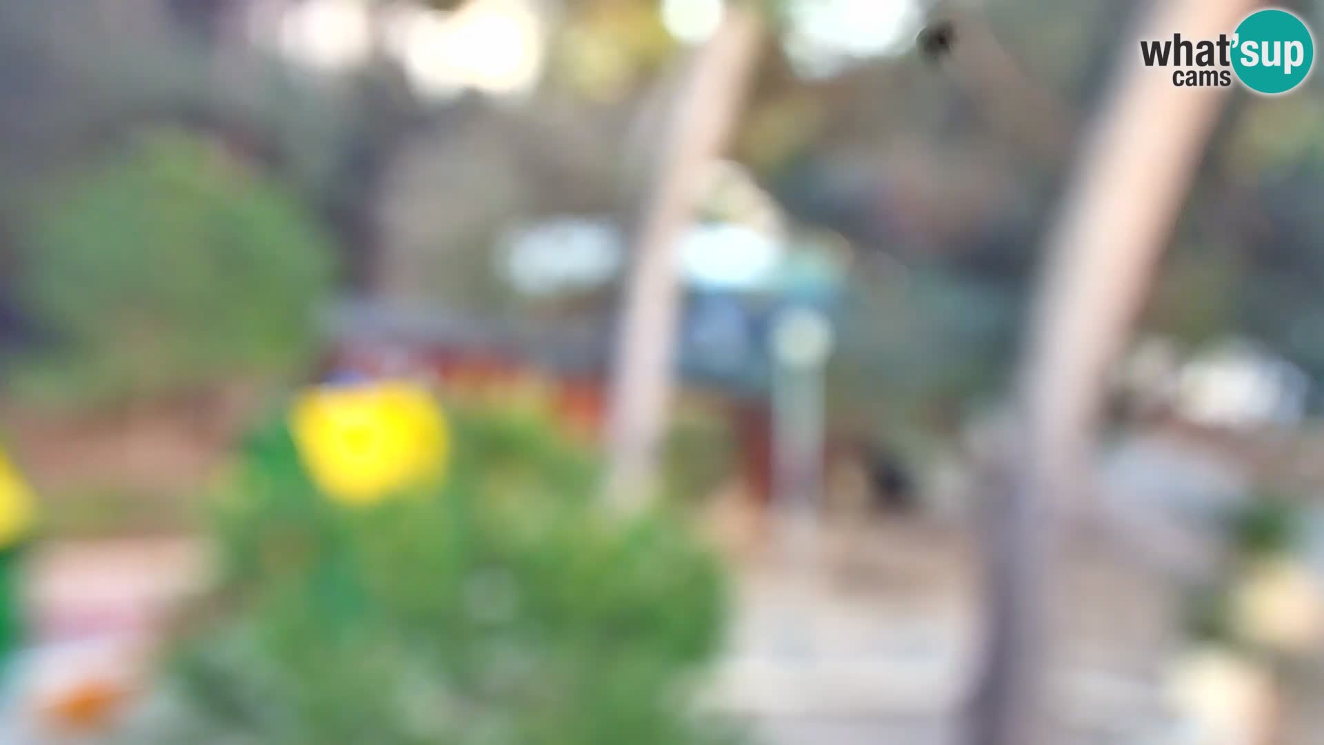 Livecam Borik plage Rovinj – Istrie