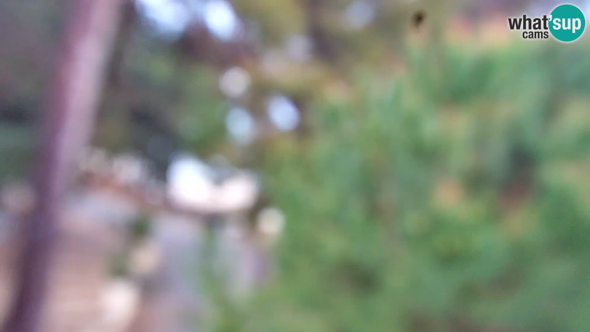 Livecam Borik plage Rovinj – Istrie