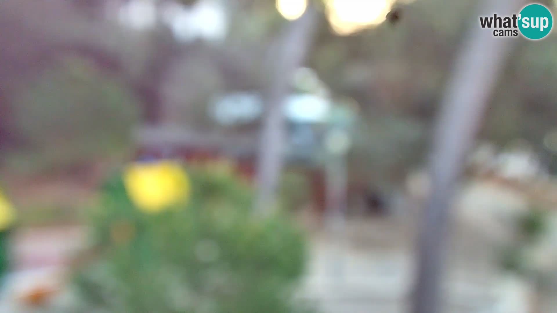 Spletna kamera plaža Borik Rovinj