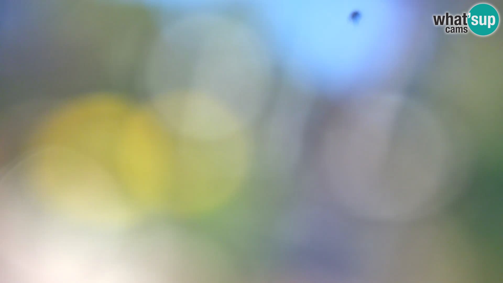 Web kamera Borik plaža Rovinj – Istra