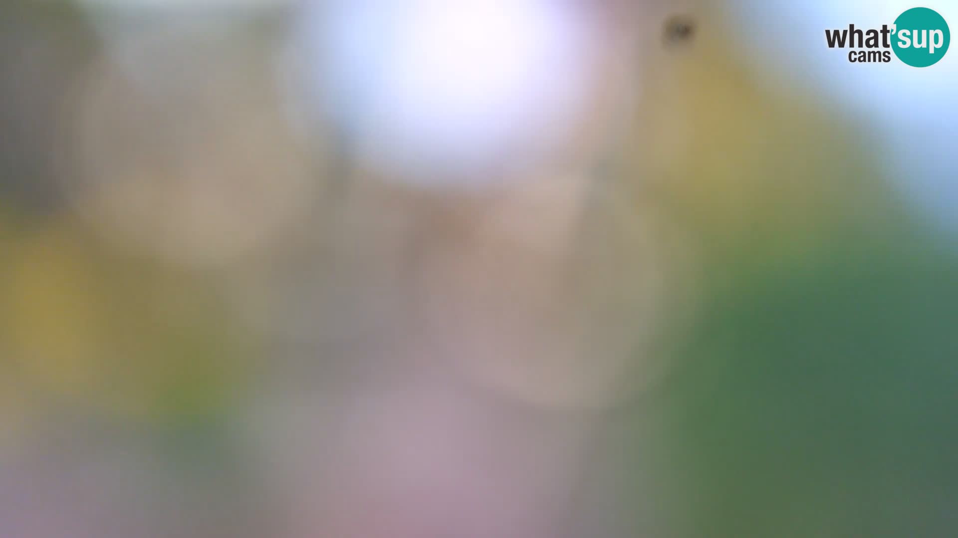 Webcam Borik Strand Rovinj – Istrien