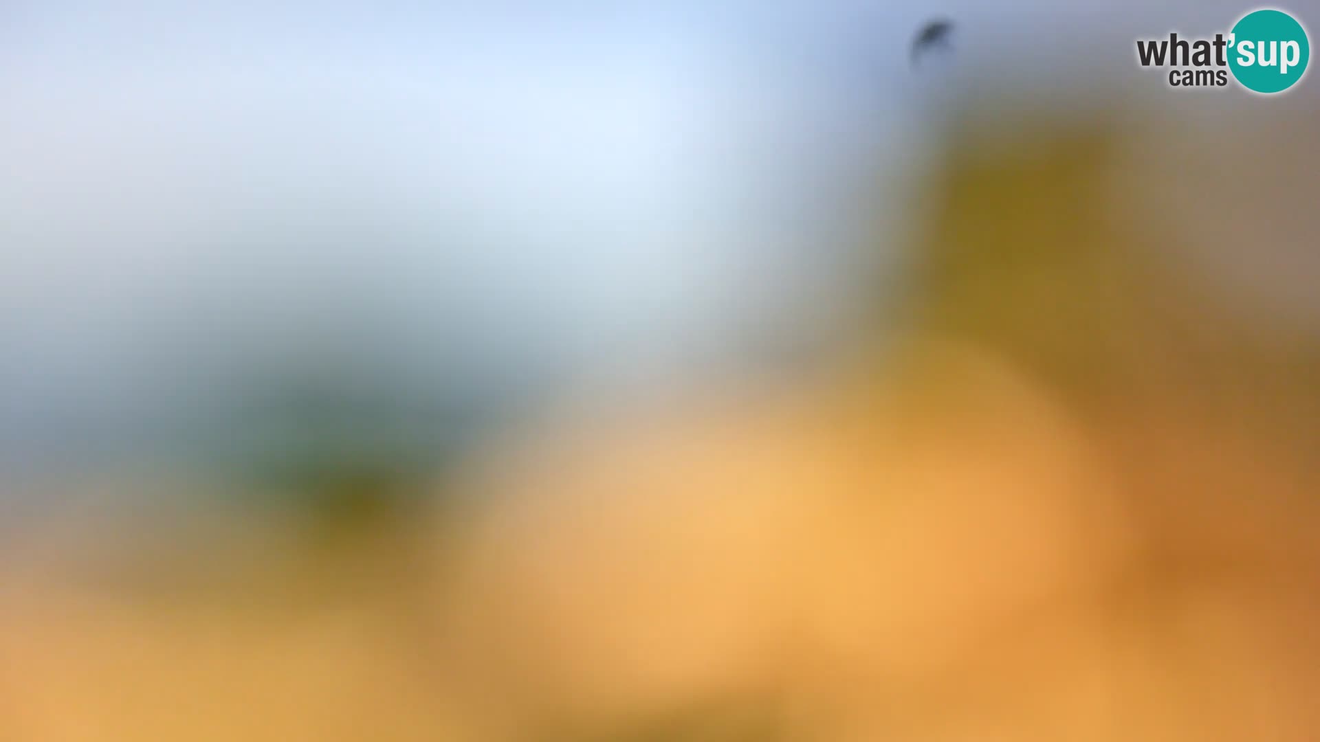 Camera en vivo Borik playa Rovinj – Istria