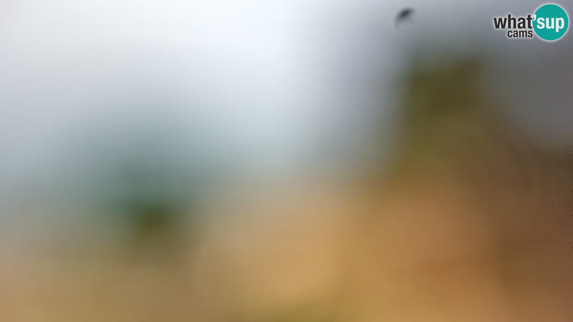 Livecam Borik plage Rovinj – Istrie