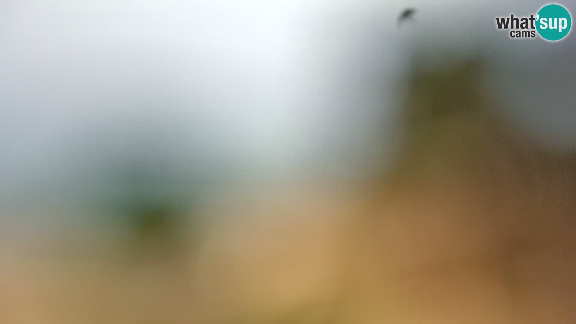 Webcam Borik Strand Rovinj – Istrien